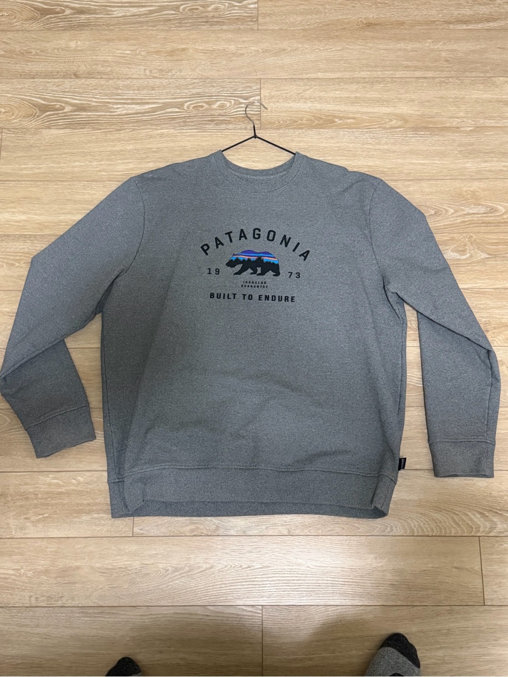 Patagonia Men's Gray Crewneck with Multicolor Bear Logo